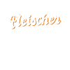 Fleischer
