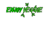 enjoy veggie