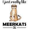 Meerkat Lover Funny Saying Gift
