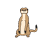 Meerkat Lover Funny Saying Gift