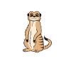 Meerkat Lover Funny Saying Gift