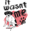 It wasn't me