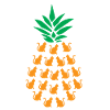 Chats ananas