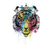 tiger aquarel