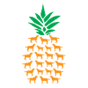Chiens ananas