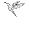Hummingbird Geometric