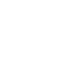 Mouette maritime
