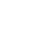 Mouette maritime