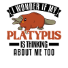 Platypus Proverb Platypus