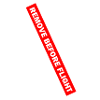REMOVE BEFORE FLIGHT 02