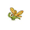 Libellule Chuchoteur Libellules Chuchoteur Insectes
