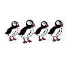 Papageitaucher Papageientaucher Puffin