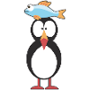 Puffin Papageitaucher Papageientaucher