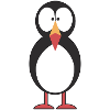 Papageitaucher Puffin Papageientaucher