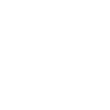 Lock Picker Lockpicking