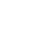 Lock Picker Lockpicking