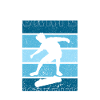 Skateboard Skateboarder Berlin Skating
