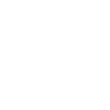 Deutscher Jagdterrier