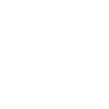 Deutscher Jagdterrier
