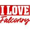 I love falconry