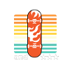 Skateboard Skateboard Skateboarder Patinage