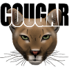 Cougar script R6Z