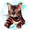 Bengal 1