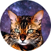 Bengal 2