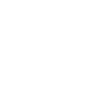 Broholmer Dad