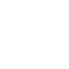 Papa Fox Terrier