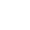 Labradoodle Papa
