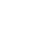 Rough-haired dachshund Dad