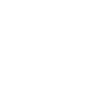 Schnoodle Papa