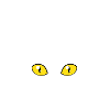 bester Freund Katze