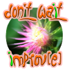 Don't wait improv(e)