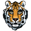 tiger portrait