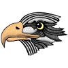 bald eagle