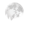 Lion Pleine Lune