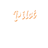 Pilot