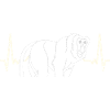 Proboscis-Affe Langnase
