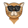 Cool Persian Cat Cat Cat