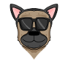 German Shepherd Dog with Sunglasses