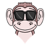 Cool monkey with sunglasses