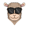 Cool llama with sunglasses