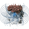 brain wash