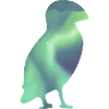 Puffinin saari Papageitaucher Islanti Aurora