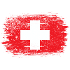 Red Brush Swiss Cross Design