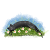 Cat sleeps