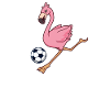 Comic Flamingo plays football