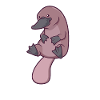 Kawaii Platypus